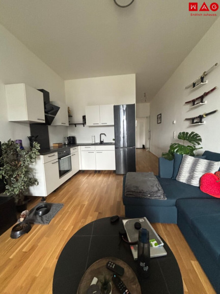 Wohnung - 4600, Wels - Ihr neues Zuhause in Wels – Zentrumsnaher Wohn(t)raum in Wels! 1-Zimmer Wohnung in den Dragonerhöfen umgeben von bester Infrastruktur! Ab 01.07.2026 verfügbar!