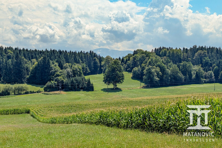 Land und Forstwirtschaft - 9062, Tigring - Wiesenfläche in Moosburg – attraktive Kapitalanlage in der Natur.