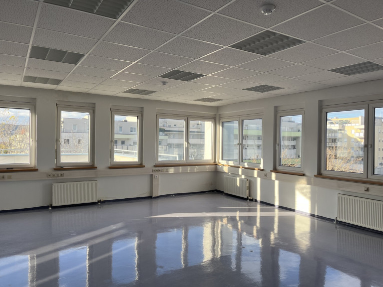 Büro / Praxis - 2351, Wiener Neudorf - Büro- und Lagerflächen in 2351 Wiener Neudorf zu mieten