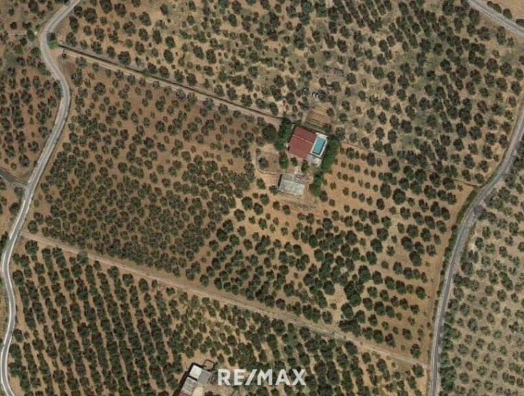 Haus - 71010, Carpino - Olivenplantage in Süditalien, Carpino