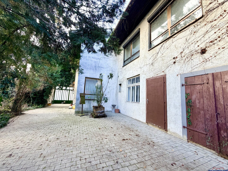 Haus - 7123, Mönchhof - attraktives großes Grundstück mit Sanierungsobjekt - auch für Neubau ideal - für Großfamilien und Anleger zum Spitzenpreis