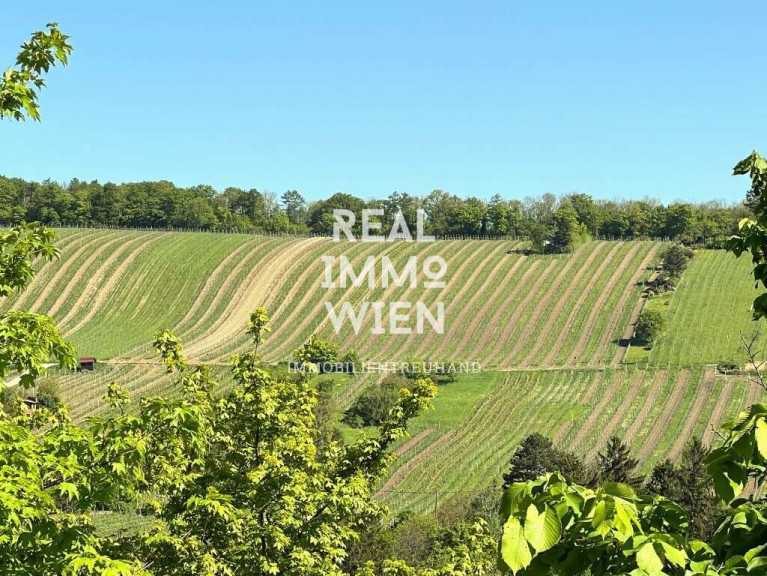 Wohnung - 1190, Wien - Stilvolle Maisonette in Top-Lage – inklusive Garten und Weinbergblick