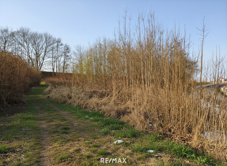 Grundstück - 4923, Kobernaußen - Baugrundstück in Kobernaußen ohne Bauzwang