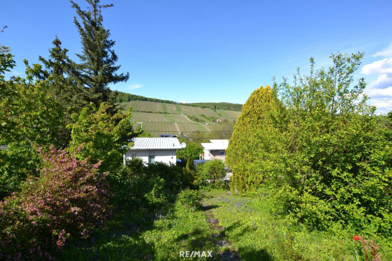 Haus - 1190, Wien - Kleingartenidylle mit Weinbergblick – nettes  Sommerhäuschen mit Potenzial für Neubau!