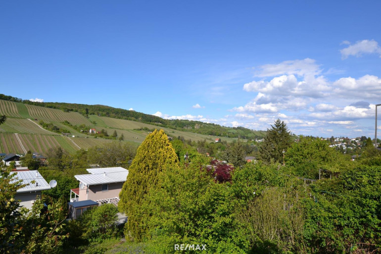 Grundstück - 1190, Wien - Ruhige Grünlage mit Weinbergblick – Pachtgrundstück mit Sommerhäuschen & Neubau-Möglichkeit!