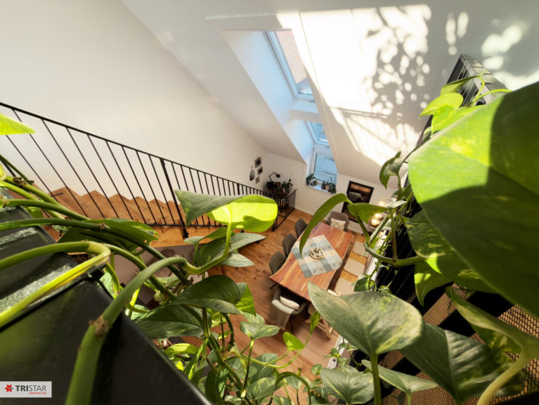 Wohnung - 2000, Stockerau - Neuer Preis !! Dachgeschoss-Maisonette mit Galerie & ca. 50 m² Dachterrasse