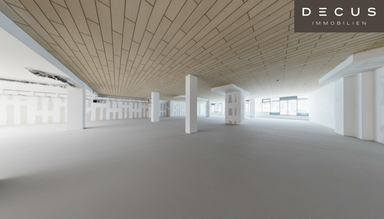 Einzelhandel - 1210, Wien - Großzügige Geschäftslokale zwischen 300 und 800 m² im 21. Bezirk – Top Sichtbarkeit