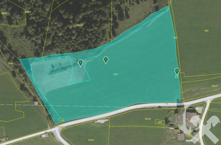 Grundstück - 8967, Haus im Ennstal - 2 ha landwirtschaftlicher Grund am Petersberg bei Haus im Ennstal