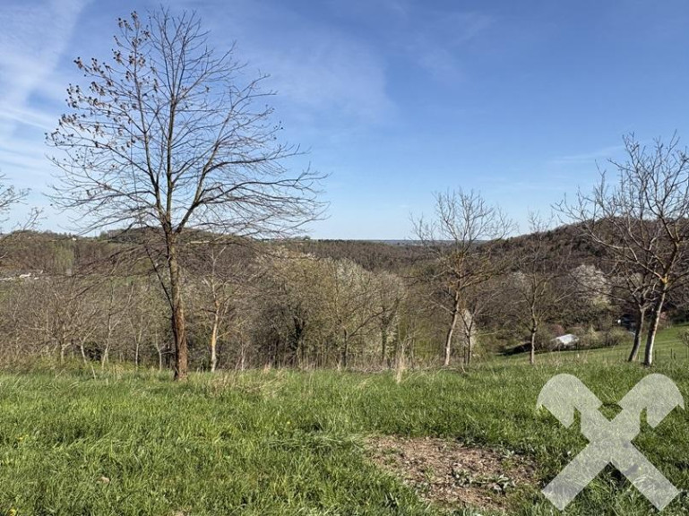 Grundstück - 8380, Mitterhenndorf - Landwirtschaftliche Fläche mit kleinem Wald nähe Bad Loipersdorf