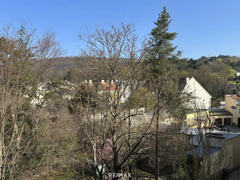 Wohnung - 1170, Wien - Charmante Stadtwohnung mit Ausblick – Perfekt für Singles & Anleger!