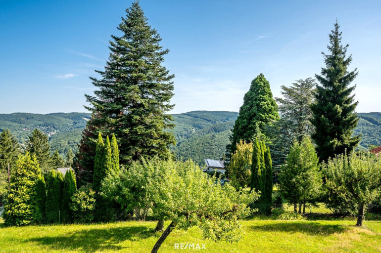 Grundstück - 1140, Wien - Idylle pur mitten im Wienerwald: Baugrund mit Fernblick!