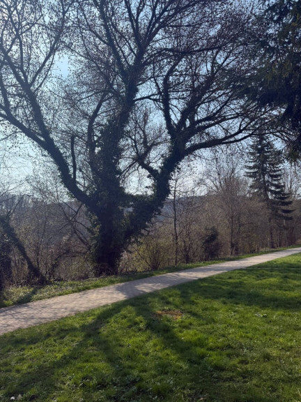 Haus - 4048, Puchenau - Sanierungsbedürftiges NATURIDYLL in LINZ/Puchenau (BUNGALOW IN U FORM)