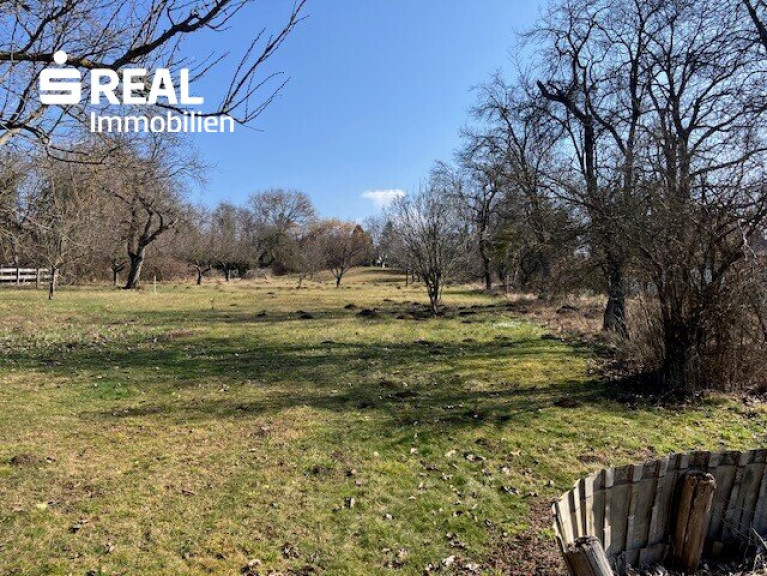 Haus - 7431, Bad Tatzmannsdorf - Seltene Gelegenheit: Großes Haus mit 3.100 m² Grundstück in Bad Tatzmannsdorf