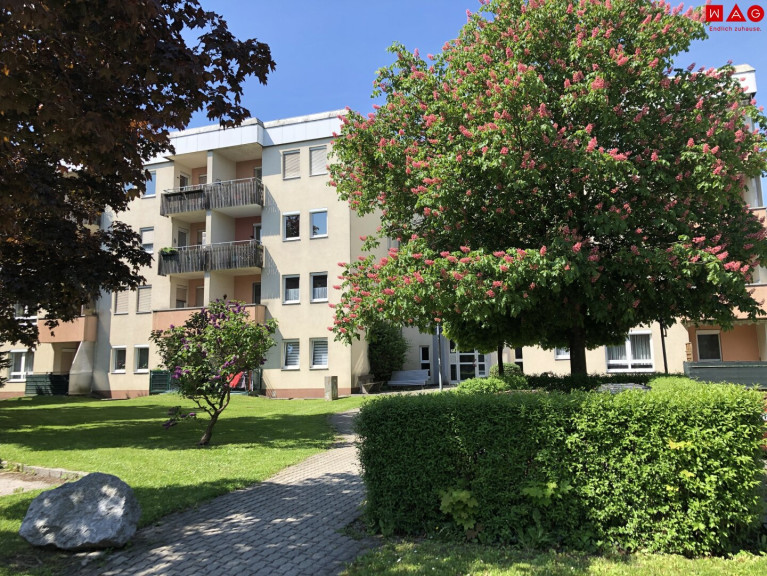 Wohnung - 4400, Steyr - Geförderte Seniorenwohnung mit sonniger Loggia, barrierearmem Komfort und Aufzug - exklusiv nur für Pensionisten, die ruhig und selbstständig wohnen möchten!