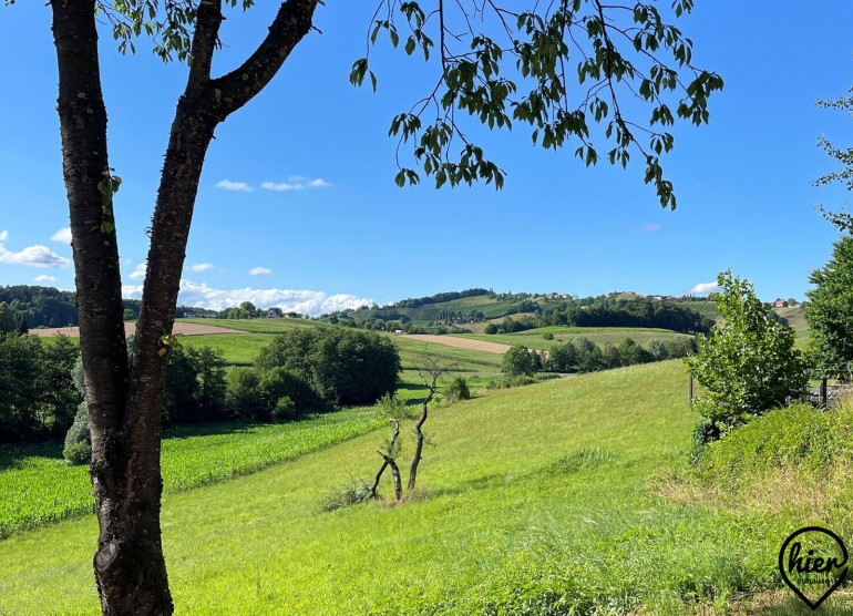 Haus - 8505, Sankt Nikolai im Sausal - St. Nikolai im Sausal: Einfamilienhaus mit ca. 7.600 m² großem Grundstück & Fernblick
