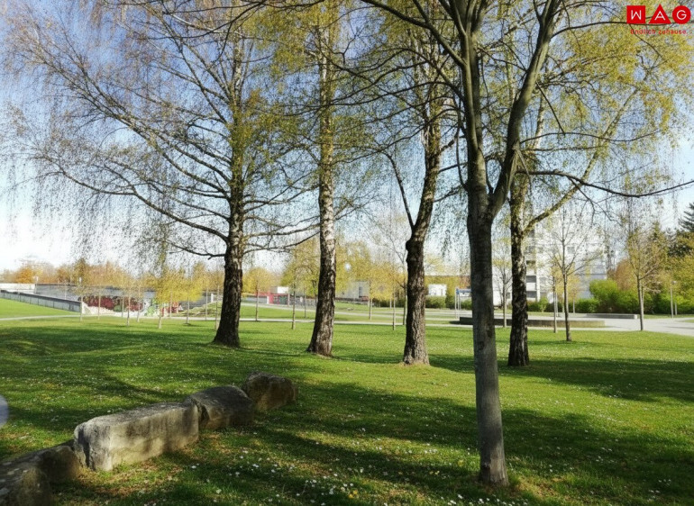 Wohnung - 4020, Linz - Ab 01.05. bezugsbereit - Sanierung in Arbeit! Attraktive 1-Zimmer-Wohnung in Parknähe, optimal für Studenten oder Singles!