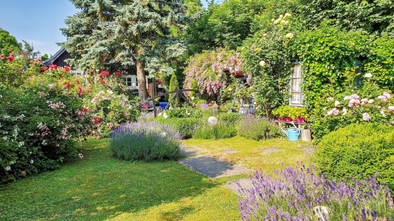 Grundstück - 1160, Wien - Viel Platz auf der Sonnenseite! Außergewöhnlich schöne Liegenschaft am Wilhelminenberg