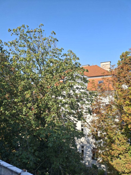 Wohnung - 1130, Wien - Einzigartige Gelegenheit in Hietzinger Bestlage!