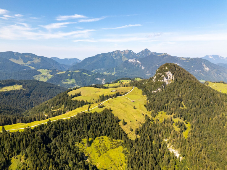 Land und Forstwirtschaft - 5091, Unken - Almfläche mit Panoramablick im Pinzgau