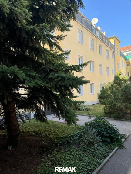 Wohnung - 1230, Wien - 2-Zimmer-Wohnung mit moderner Küche in ruhiger Lage