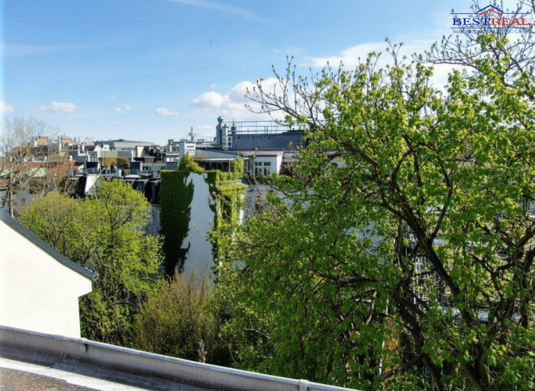 Wohnung - 1080, Wien - Attraktiver Rohdachboden mit Einreichplanung - Nahe Palais Schönborn