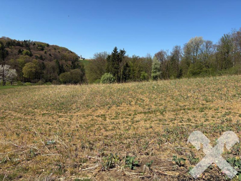 Grundstück - 8342, Gnas - Ackergrundstücke Nähe Gnas