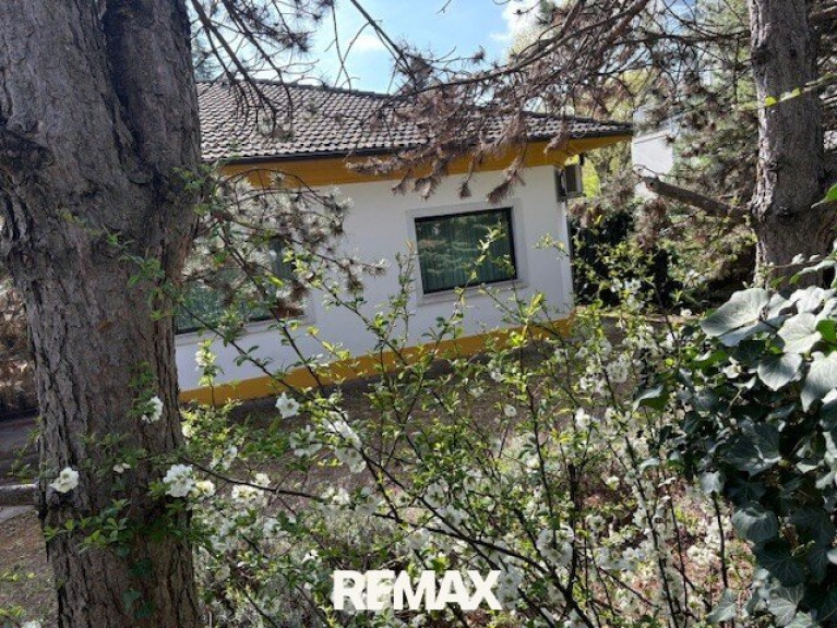 Grundstück - 1130, Wien - Grundstück-Neubauprojekt oder Privathaus