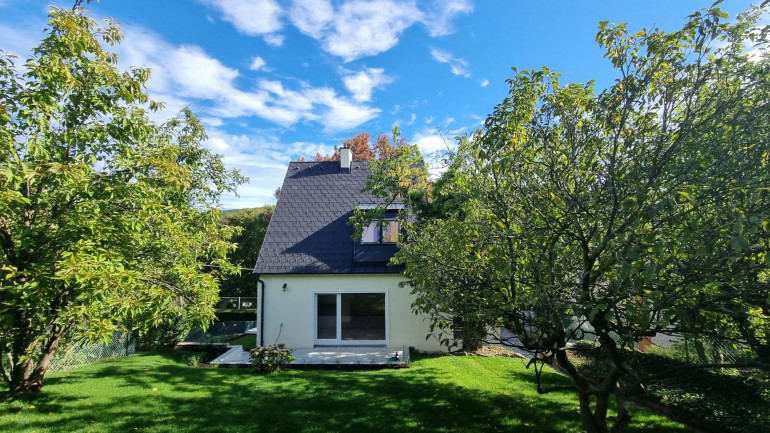 Haus - 1170, Wien - Besonders charmantes Einfamilienhaus mit Garten in Dornbach zur Miete
