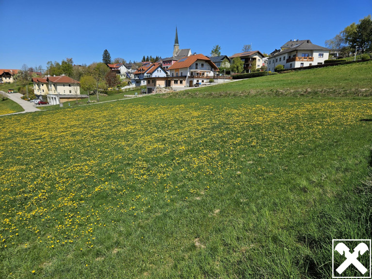 Grundstück - 4372, Sankt Georgen am Walde - Baugrund (gemischtes Baugebiet mit Einschränkung) mit Möglichkeit auf Erweiterung der Fläche