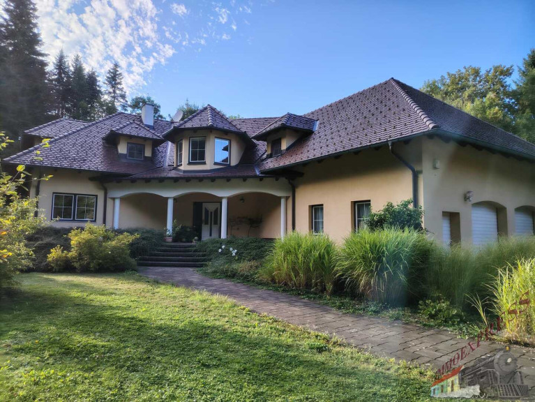Haus - 2571, Altenmarkt an der Triesting - Tolle Villa mit neuer PV-Anlage bietet viel Platz und ruhige, grüne Umgebung – nur 38 min zur Stadtgrenze Wien!