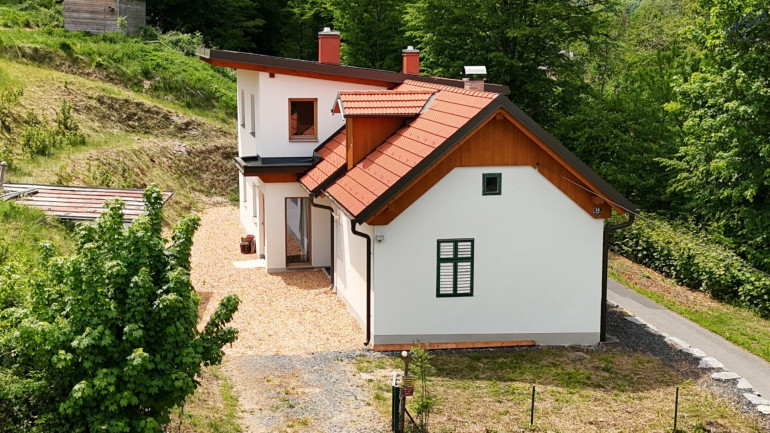 Haus - 7442, Hammerteich - Idyllische Ruhelage – Neubau trifft auf liebevoll modernisierten Altbestand