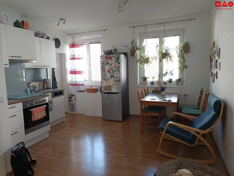 Wohnung - 4451, Garsten - Wohnen zwischen Stadt und Natur im grünen Garsten: helle 3-Raumwohnung begeistert mit offener Küche, viel Privatsphäre und praktischem Abstellraum in ruhiger Lage nahe Steyr!