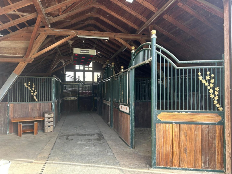 Haus - 2852, Hochneukirchen - Exklusiver Pferdehof mit 2 Wohneinheiten, Reithalle & großem Grund in Hochneukirchen