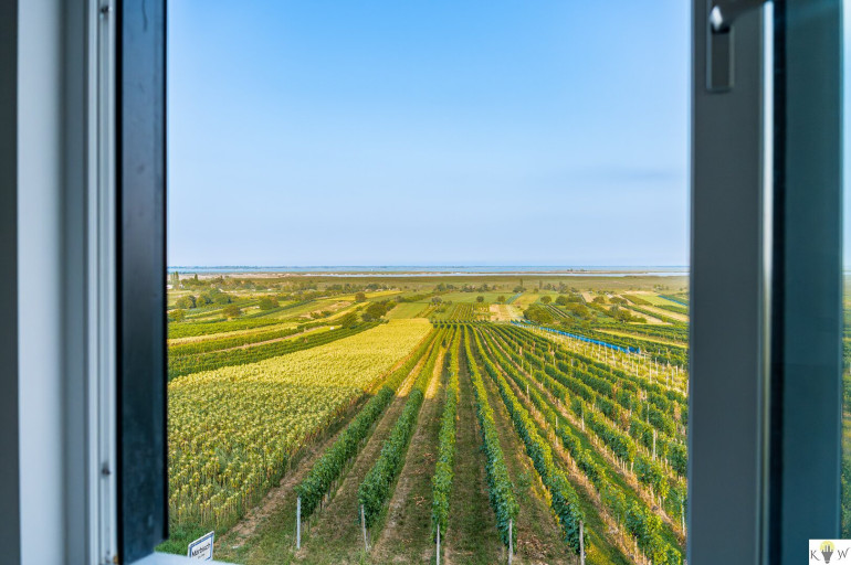 Wohnung - 7072, Mörbisch am See - NEUER PREIS! Hochwertige Erstbezugswohnungen mit exklusivem Seeblick in Mörbisch