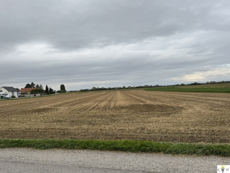 Grundstück - 2453, Sommerein - Großes Grundstück mit Entwicklungspotenzial in Sommerein – Nähe Bauland-Betriebsgebiet und Bauland-Wohngebiet!