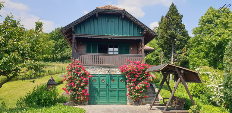 Haus - 7464, Markt Neuhodis - Auszeit in der südburgenländischen Weinidylle
