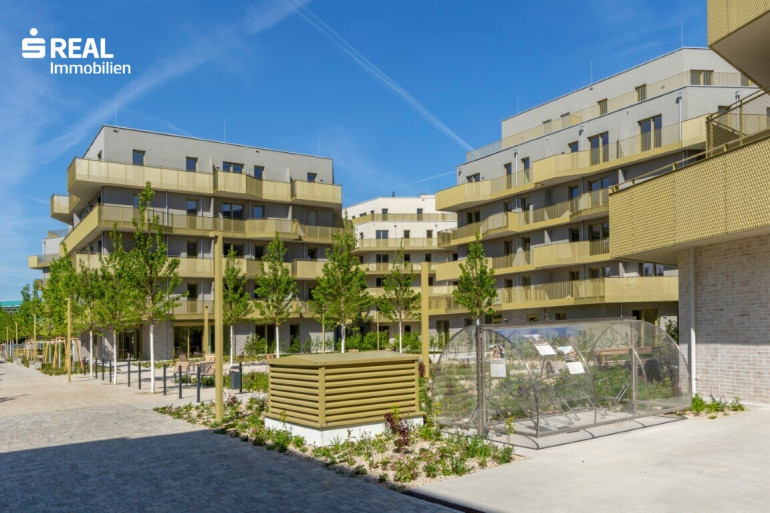 Wohnung - 1210, Wien - Hirschfeld - Investieren und sofort vermieten