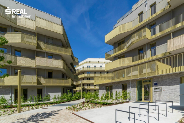 Wohnung - 1210, Wien - Hirschfeld - Ihr neues Zuhause im Grünen - anfragen, besichtigen, einziehen - 41 bis 96 m²