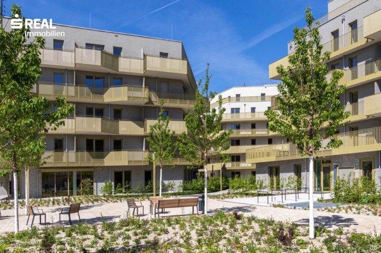Wohnung - 1210, Wien - Hirschfeld - Ihr neues Zuhause im Grünen - anfragen, besichtigen, einziehen - 41 bis 96 m²