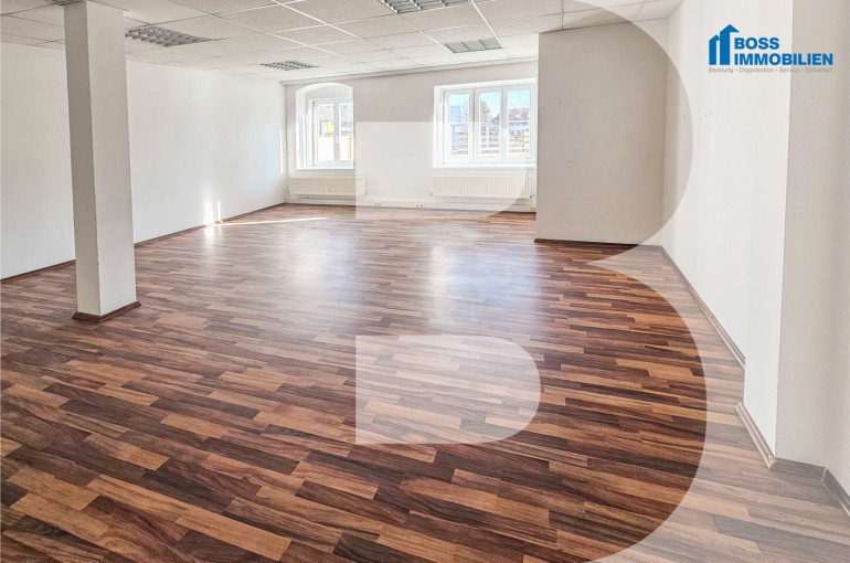 Büro / Praxis - 4050, Traun - Raum für Visionen – in historischer Umgebung