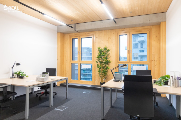 Büro / Praxis - 1220, Wien - PRIVATE BÜROFLÄCHEN IN DER SEESTADT