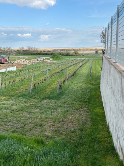 Grundstück - 7083, Purbach am Neusiedler See - Exklusives Baugrundstück in Purbach: Traumlage mit Blick auf den Neusiedler See