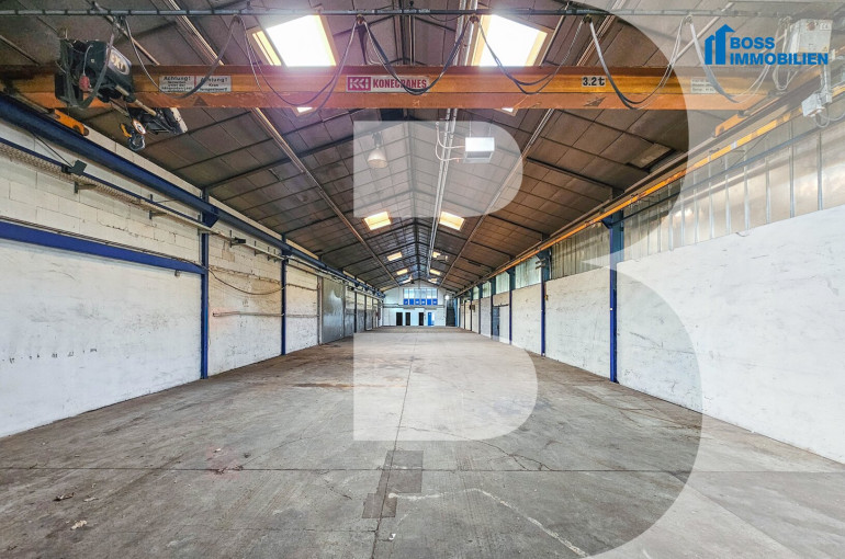 Halle / Lager / Produktion - 4600, Thalheim bei Wels - 550m² Lagerhalle beheizt inkl. Büro