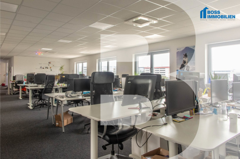 Büro / Praxis - 4061, Pasching - Businessfläche am TOP Standort - 240 m²