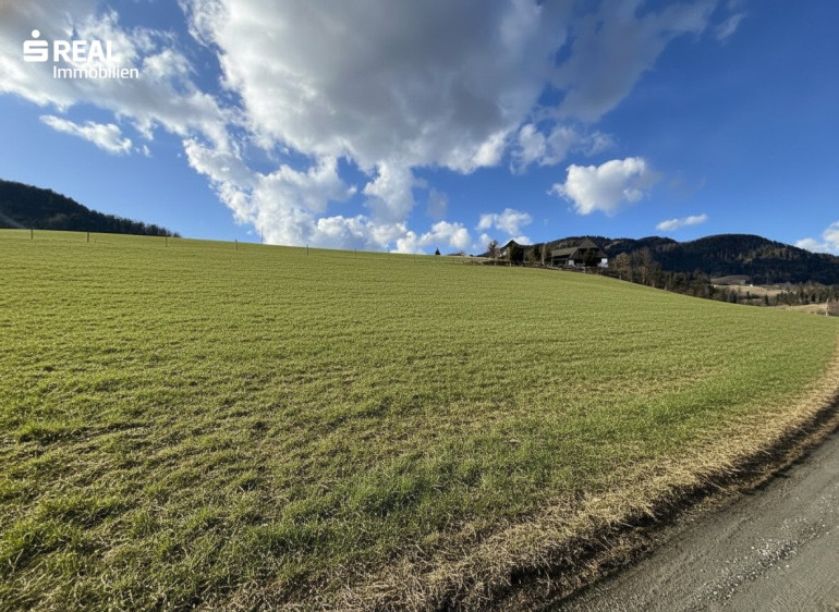 Grundstück - 8813, Sankt Lambrecht - Baugrundstück mit flexibler Grundstücksgröße nahe Skigebiet Grebenzen