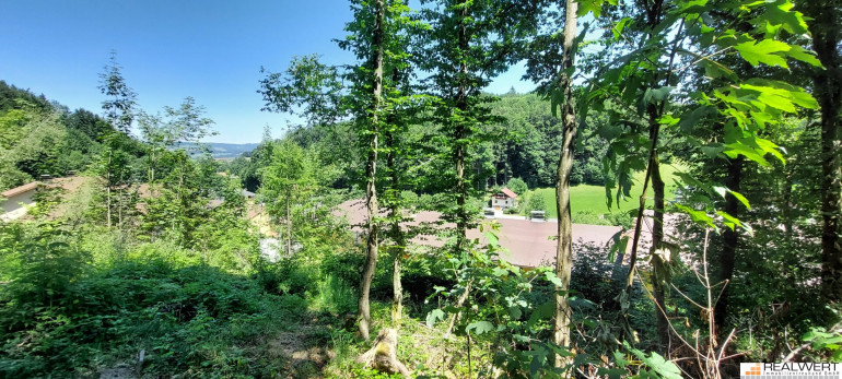 Grundstück - 5322, Hof bei Salzburg - Grundstück mit Potential und freiem Ausblick in Hof bei Salzburg