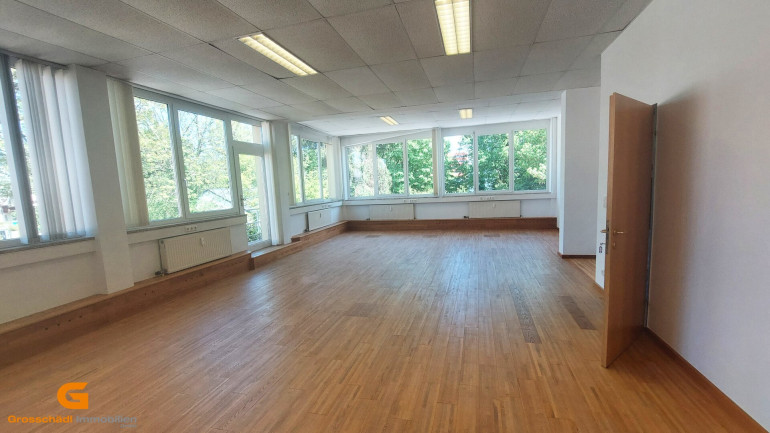 Büro / Praxis - 5020, Salzburg - Büro oder Ordination in ruhiger Salzachlage in Salzburg Stadt mieten