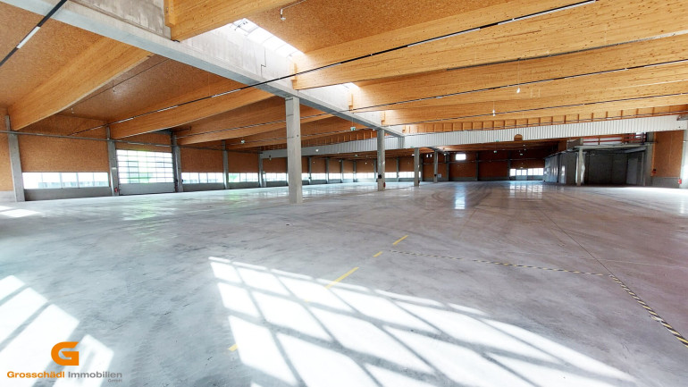 Halle / Lager / Produktion - 5082, Grödig - Neubau im Großformat :Unternehmens- standort im Salzburger Süden - Baurecht