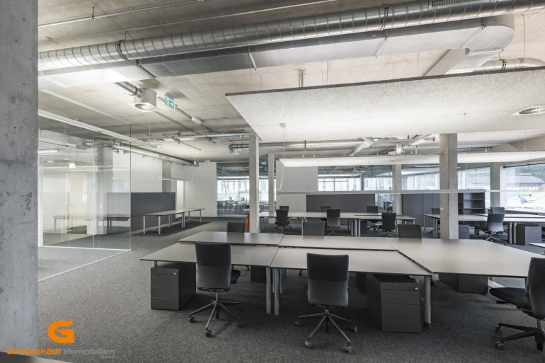 Büro / Praxis - 5081, Anif - Top Loftstylebüro mieten in Salzburg Süd