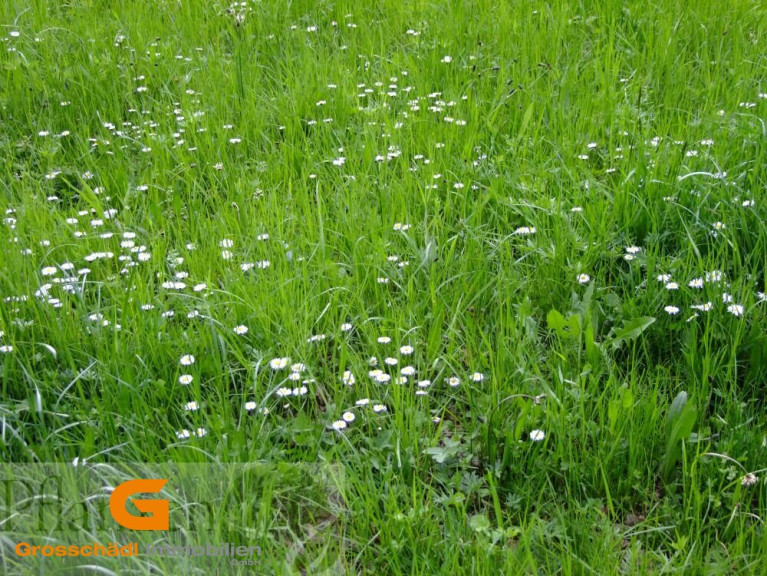 Grundstück - 5202, Neumarkt am Wallersee - Baurecht: Gewerbegrund in Neumarkt